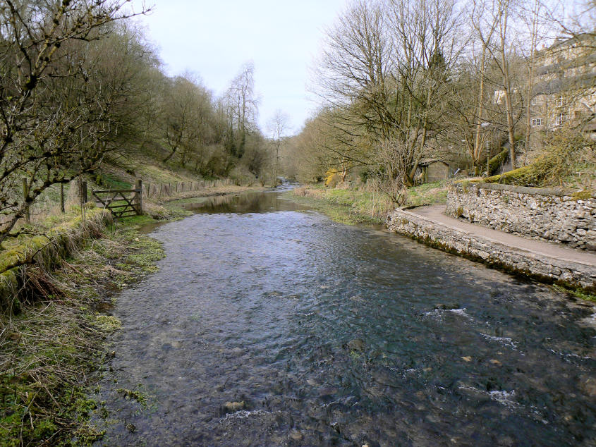Bradford Dale Bradford Dale